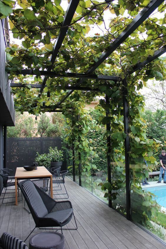 The Beauty of Metal Pergolas in Outdoor Spaces