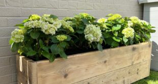 rustic garden planters