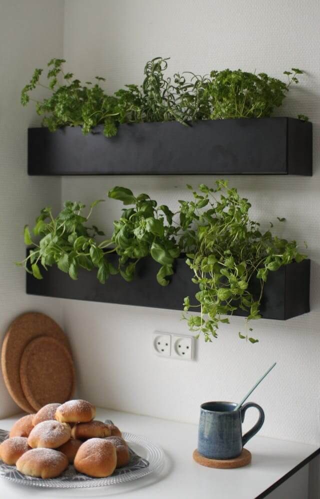 Create Your Own Herb Garden Planter with These DIY Tips