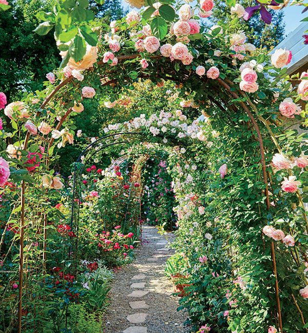 A Blissful Haven: The Beauty of a Flourishing Flower Garden