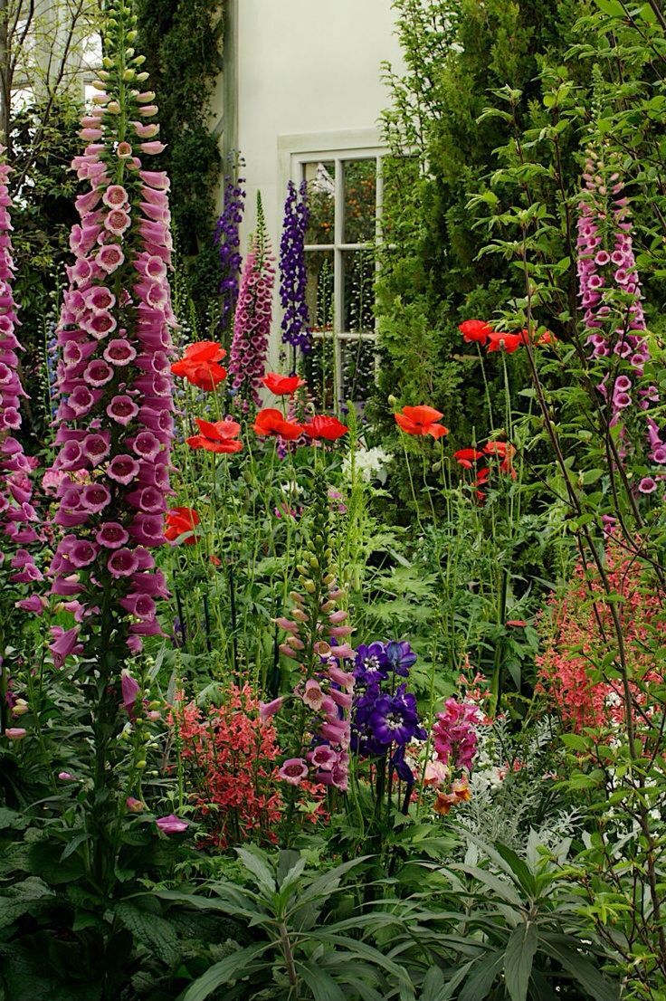 A Bounty of Blooms: Exploring the Beauty of a Flower Garden
