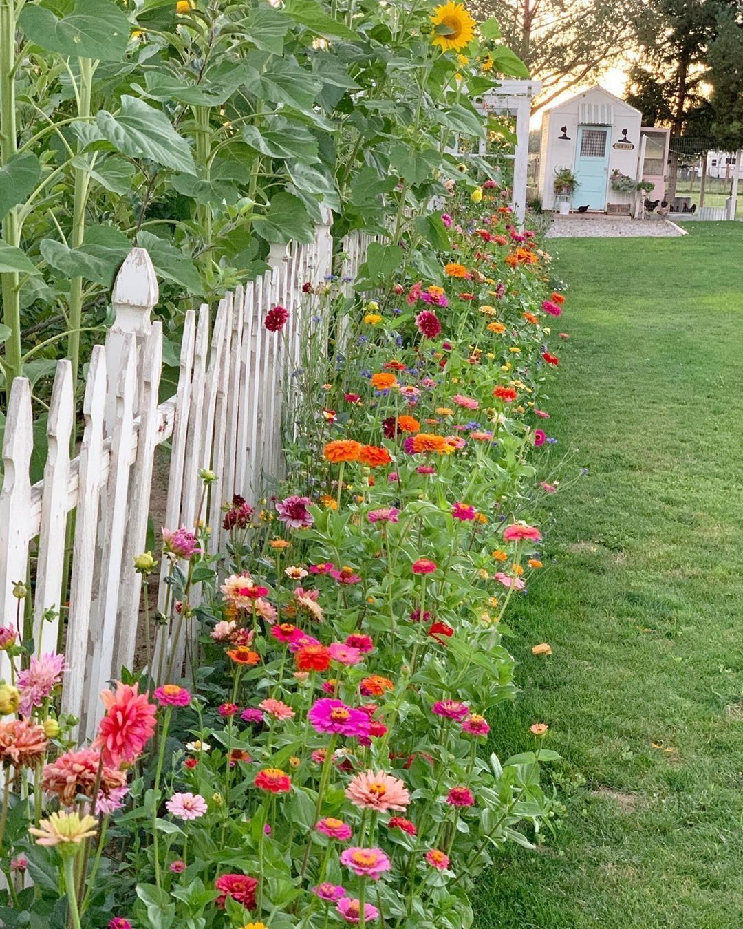 A Colorful Oasis: Backyard Flower Garden Inspiration