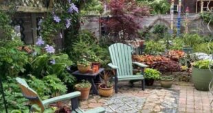 small patio garden