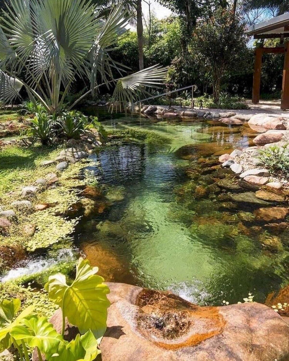 A Delightful Addition to Your Outdoor Space: The Beauty of Garden Ponds