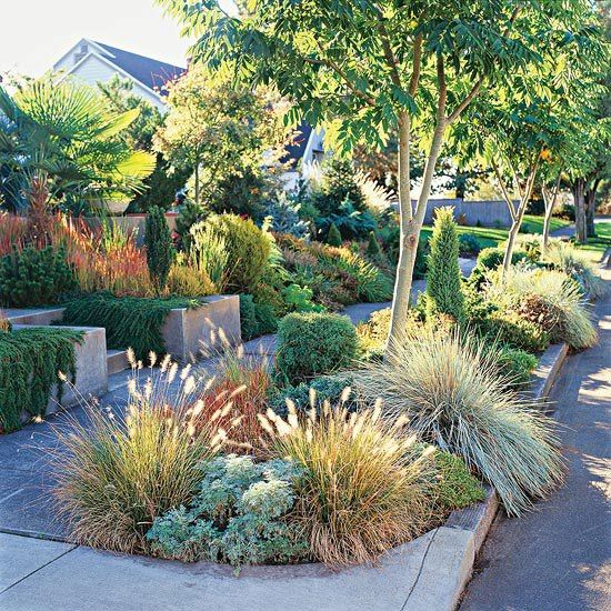 A Guide to Choosing the Right Grass for Your Landscape