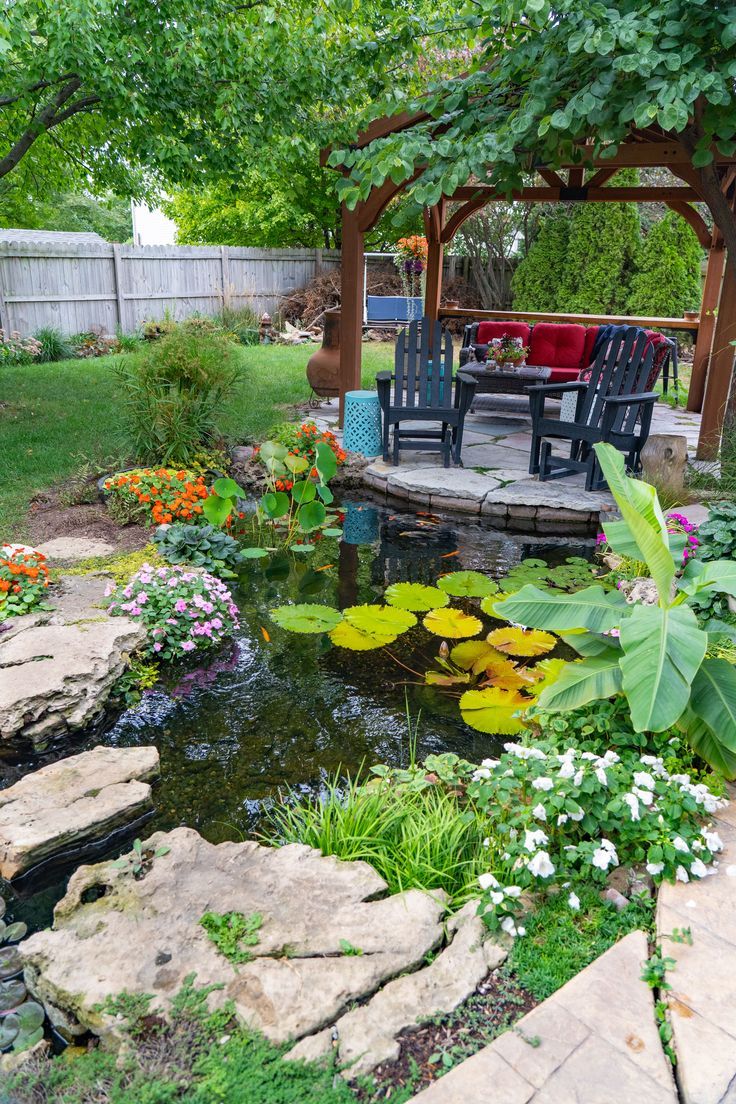 A Guide to Creating Your Own Backyard Oasis: The Beauty of Ponds