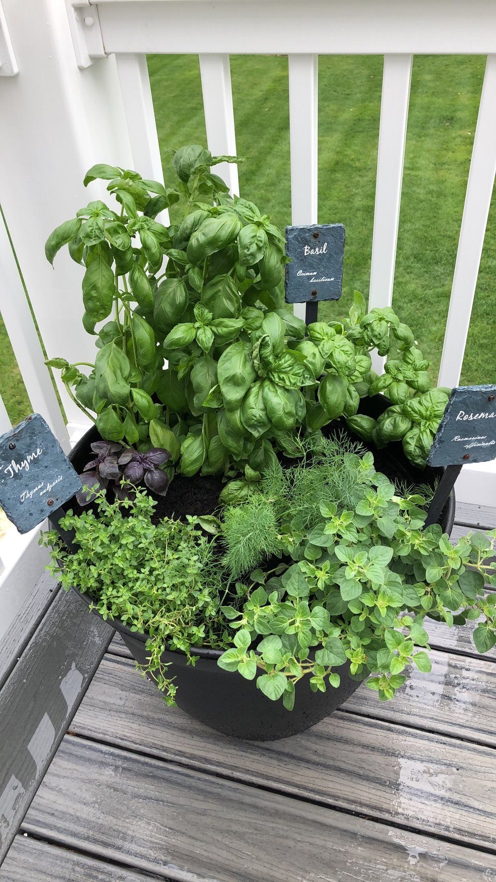 A Guide to Creating Your Own Small Herb Garden Planter