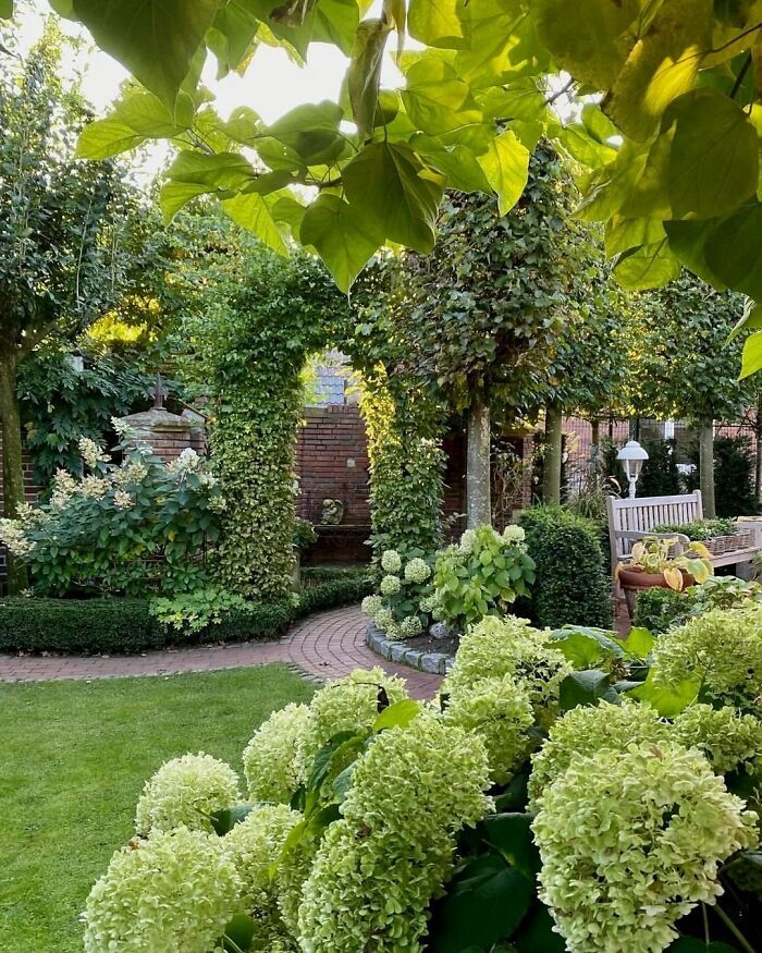 A Guide to Creating a Stunning Backyard Landscape