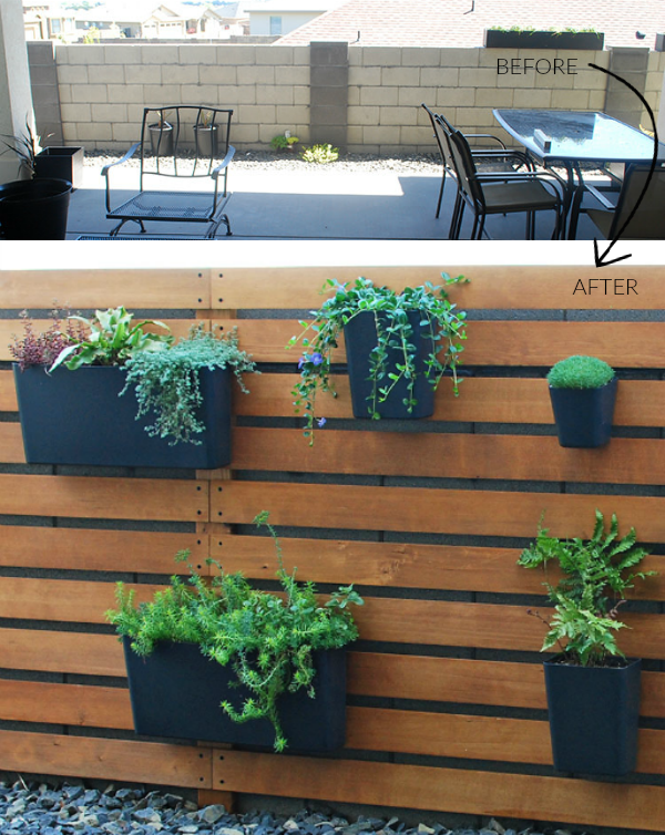 A Guide to Creating a Vertical Garden with Planter Walls