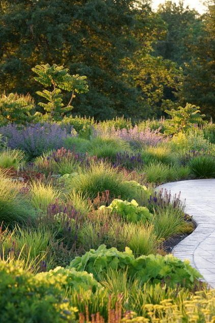 A Guide to Selecting the Right Grasses for Your Landscape