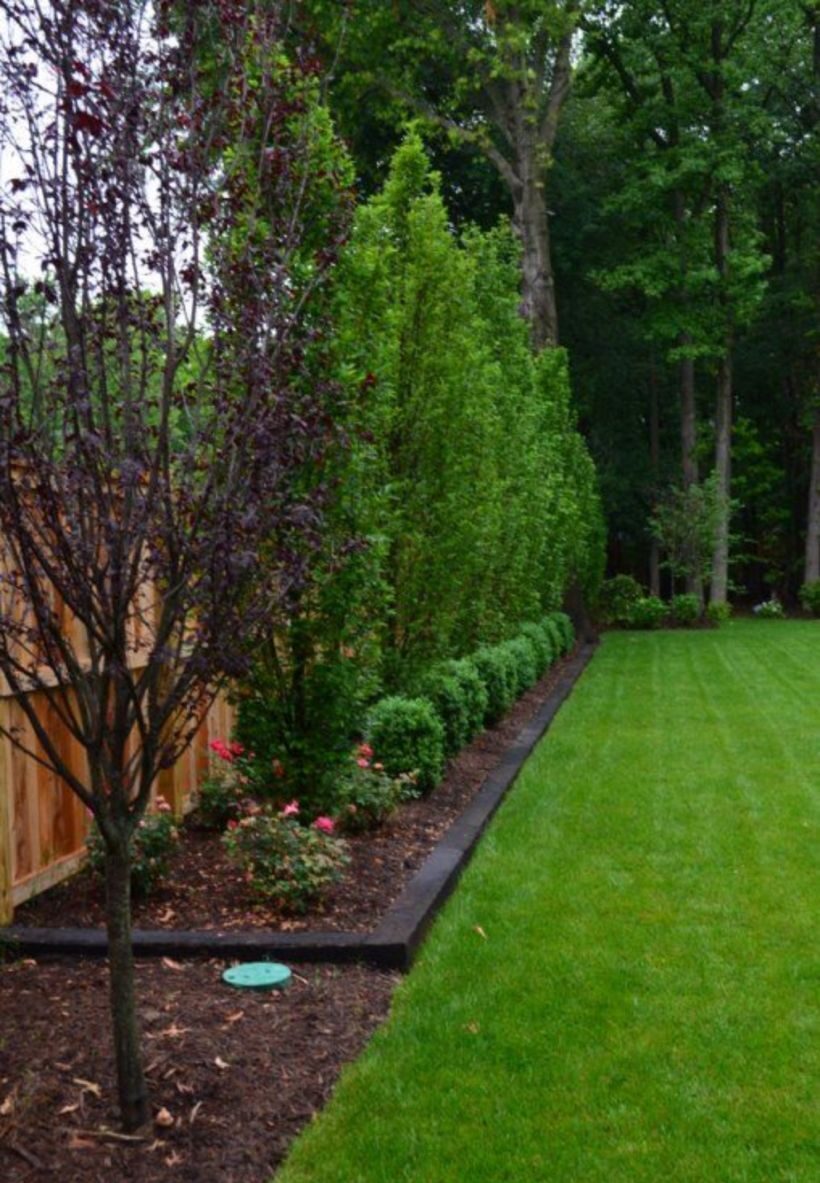 A Guide to Spacious Yard Transformation with Creative Landscaping