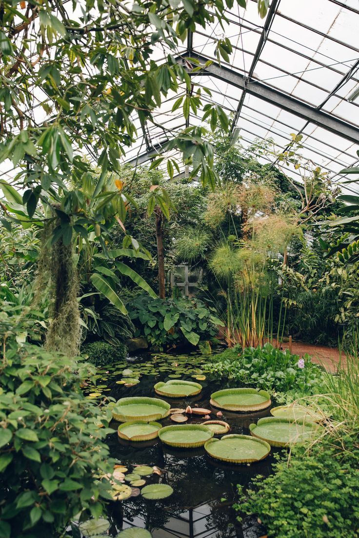 A Guide to the Beautiful Botanical Gardens in Your City