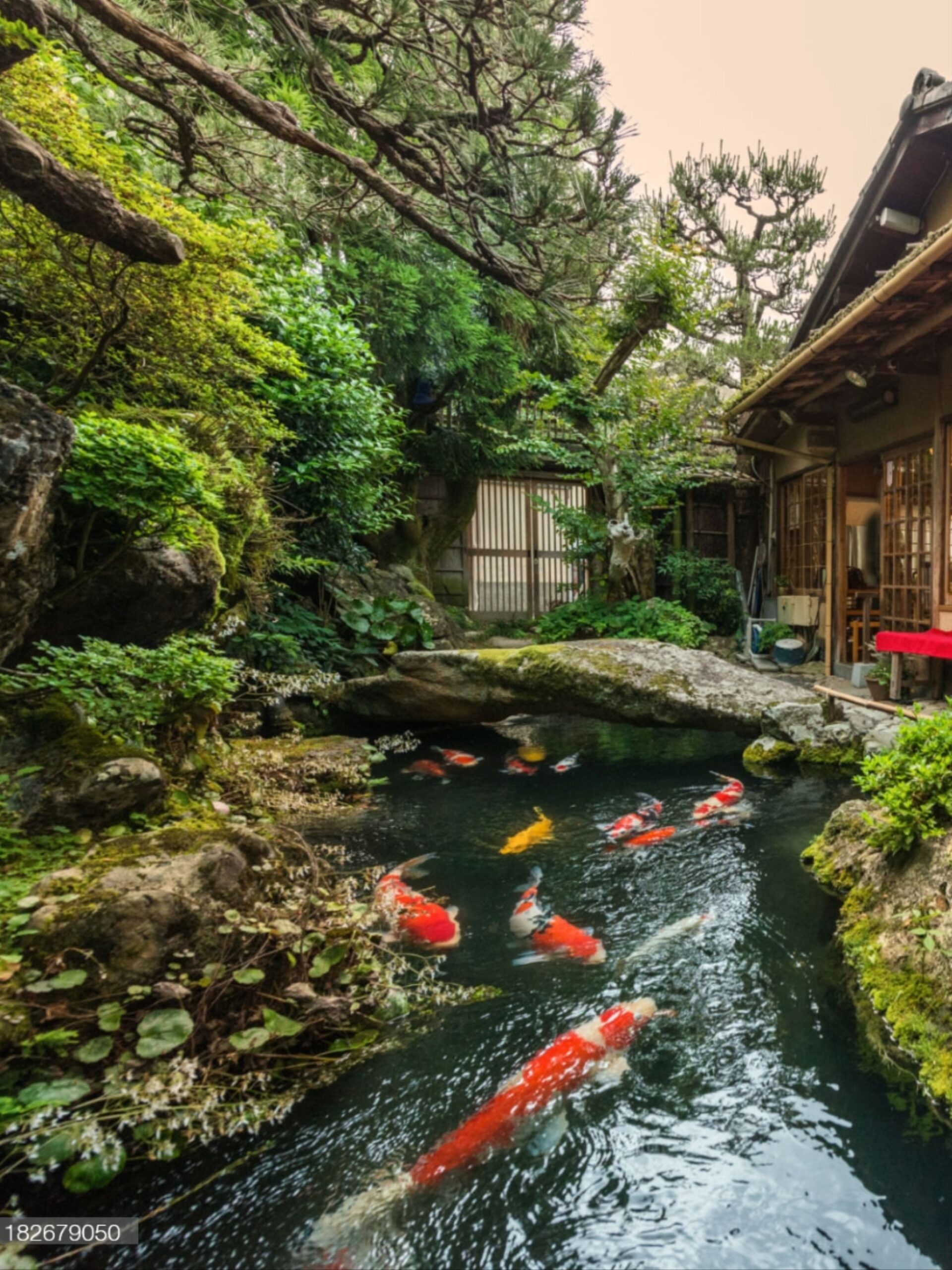 A Serene Retreat: Exploring the Beauty of Japanese Gardens