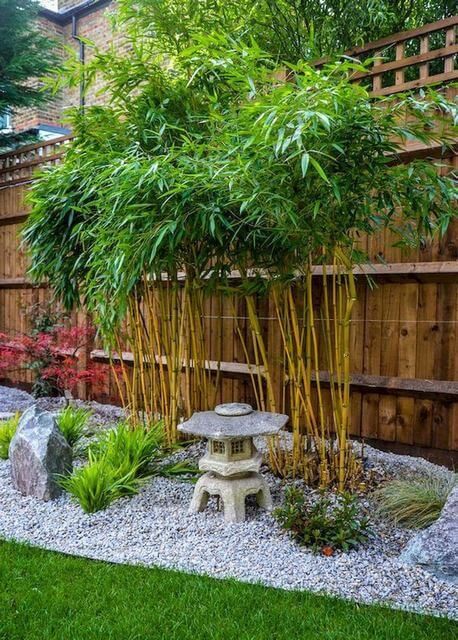 A Serene and Tranquil Japanese Garden Experience