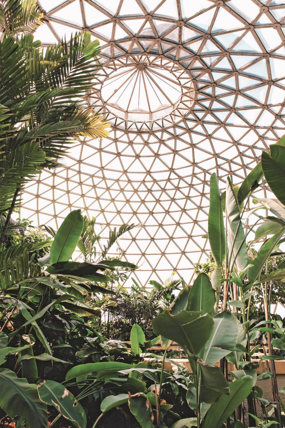 A Showcase of Nature’s Diversity: Exploring the Vibrant Beauty of Botanical Gardens