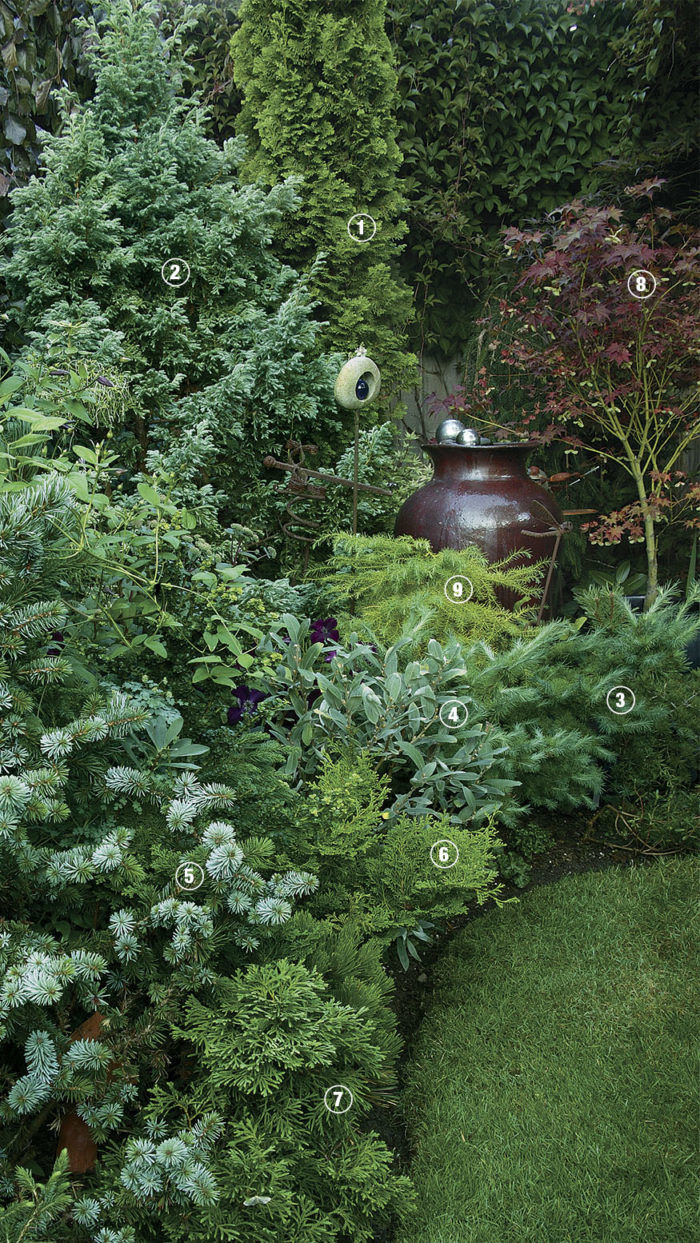 A Timeless and Lush Front Yard Landscape for Year-Round Beauty