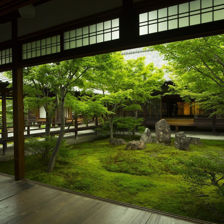 A Tranquil Oasis: Exploring the Beauty of Japanese Gardens