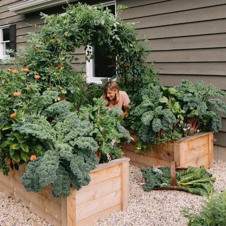 A guide to growing garden vegetables in limited space