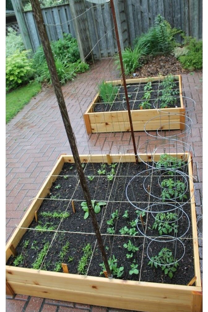 Affordable Homemade Raised Garden Beds You Can Easily Make