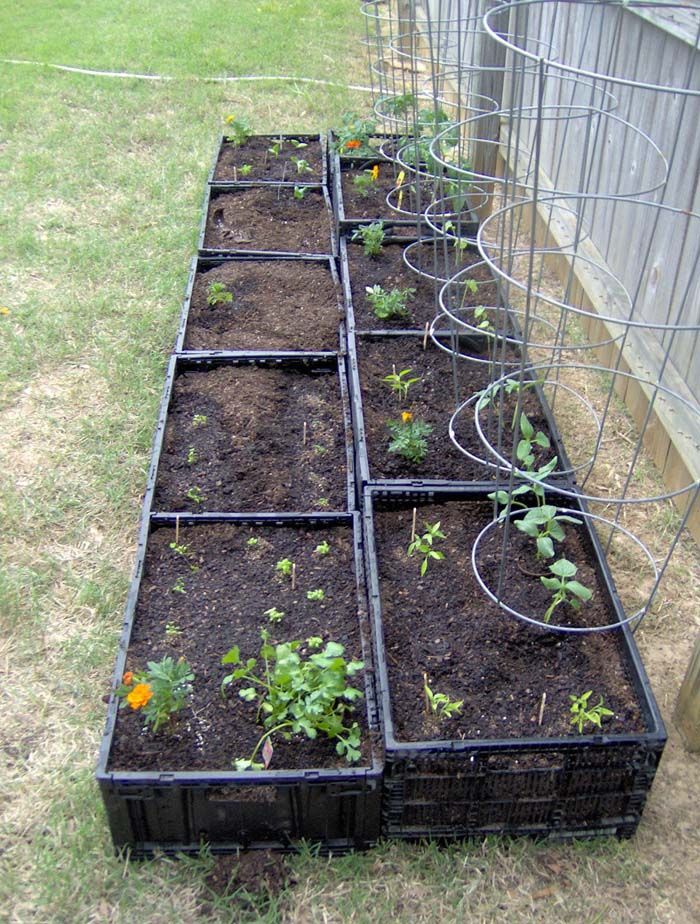 Affordable DIY Raised Garden Beds: A Cost-Effective Solution for Your Garden