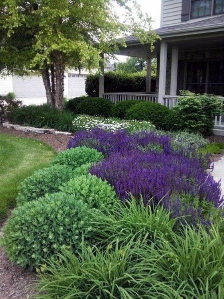 Beautiful Flower Garden Ideas for Your Front Yard