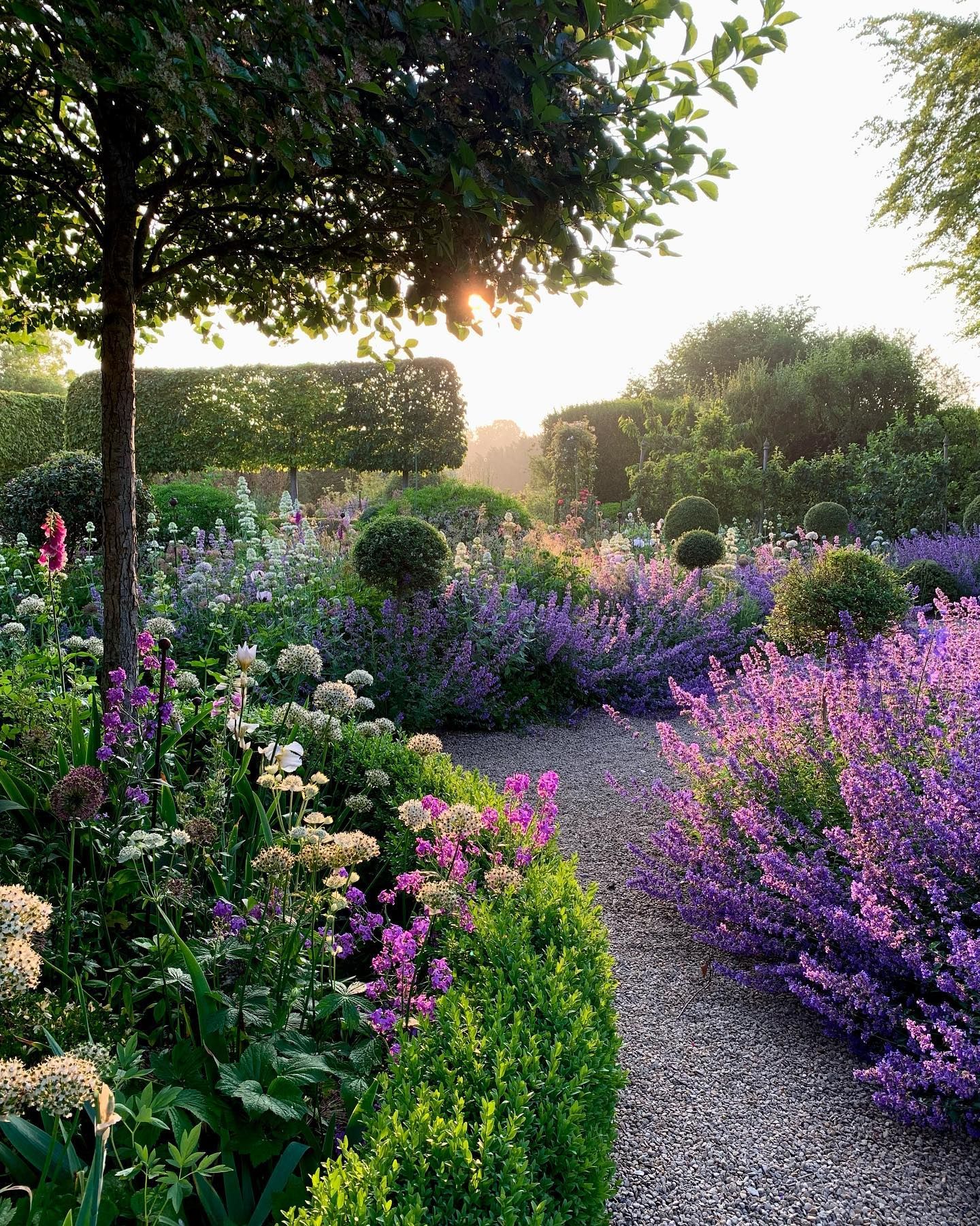 Beautiful Flower Garden Layouts: Creating a Stunning Outdoor Oasis