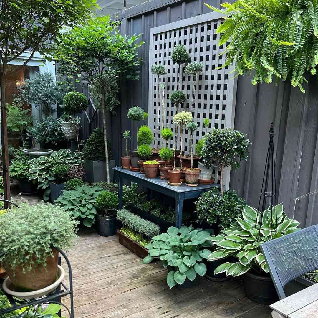 Beautiful Garden Ideas for Compact Outdoor Spaces
