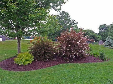 Beautiful Landscaping Berm Designs for Your Yard