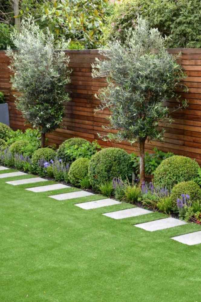 Beautiful Options for Adding Trees to Your Small Garden