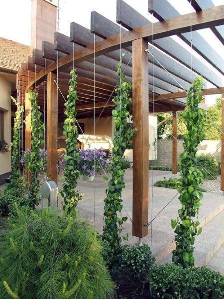 Beautiful Patio Designs with a Pergola: Transform Your Outdoor Space Today