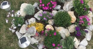 small garden rockery ideas