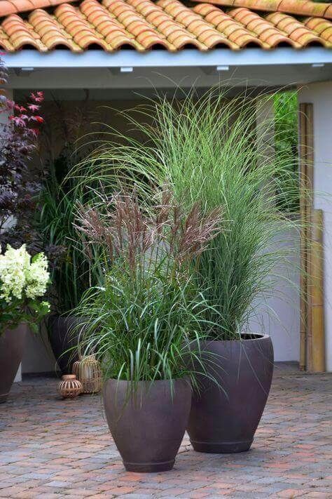 Beautiful Ways to Decorate Your Garden Planters