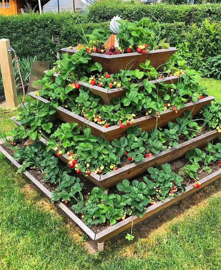 Beautiful Ways to Enhance Your Garden with Creative Decor