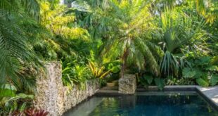 landscape ideas around pool