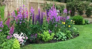 backyard flower garden ideas