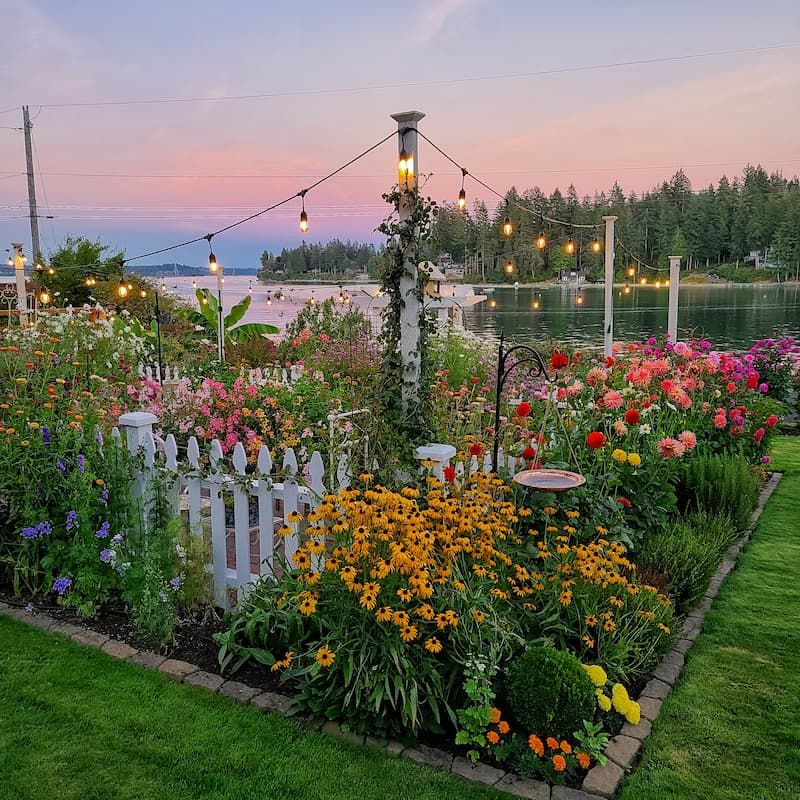 Beauty Blooms: The Allure of a Lush Flower Garden