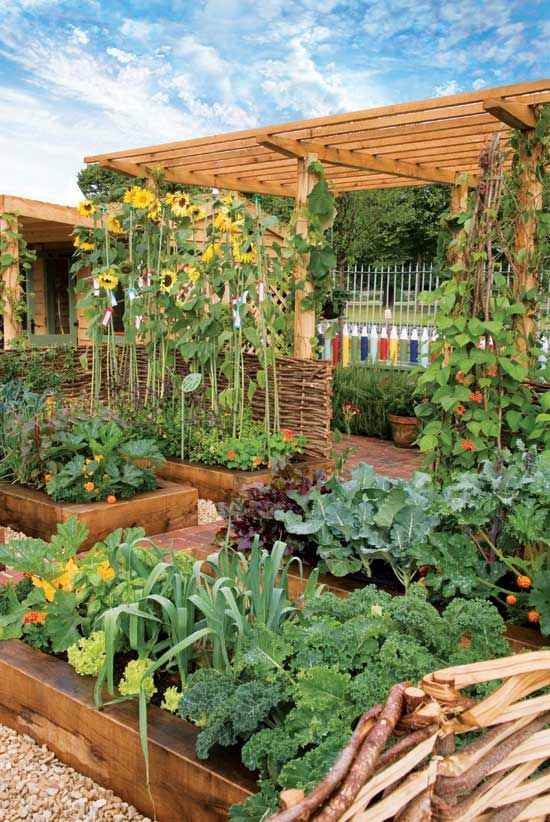 Benefits of Elevated Planting Bed for Your Garden