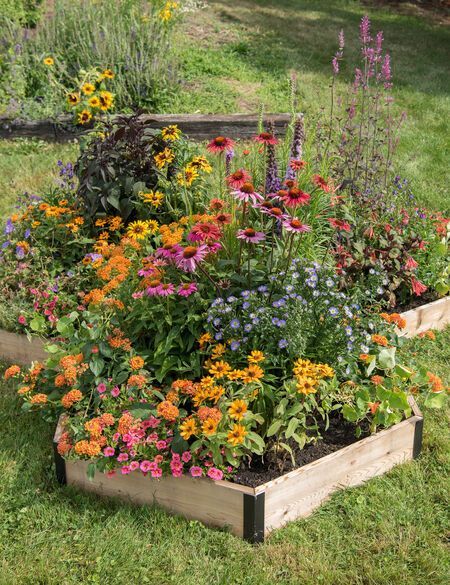 Blooming Beauty: Creative Ideas for Your Backyard Flower Garden