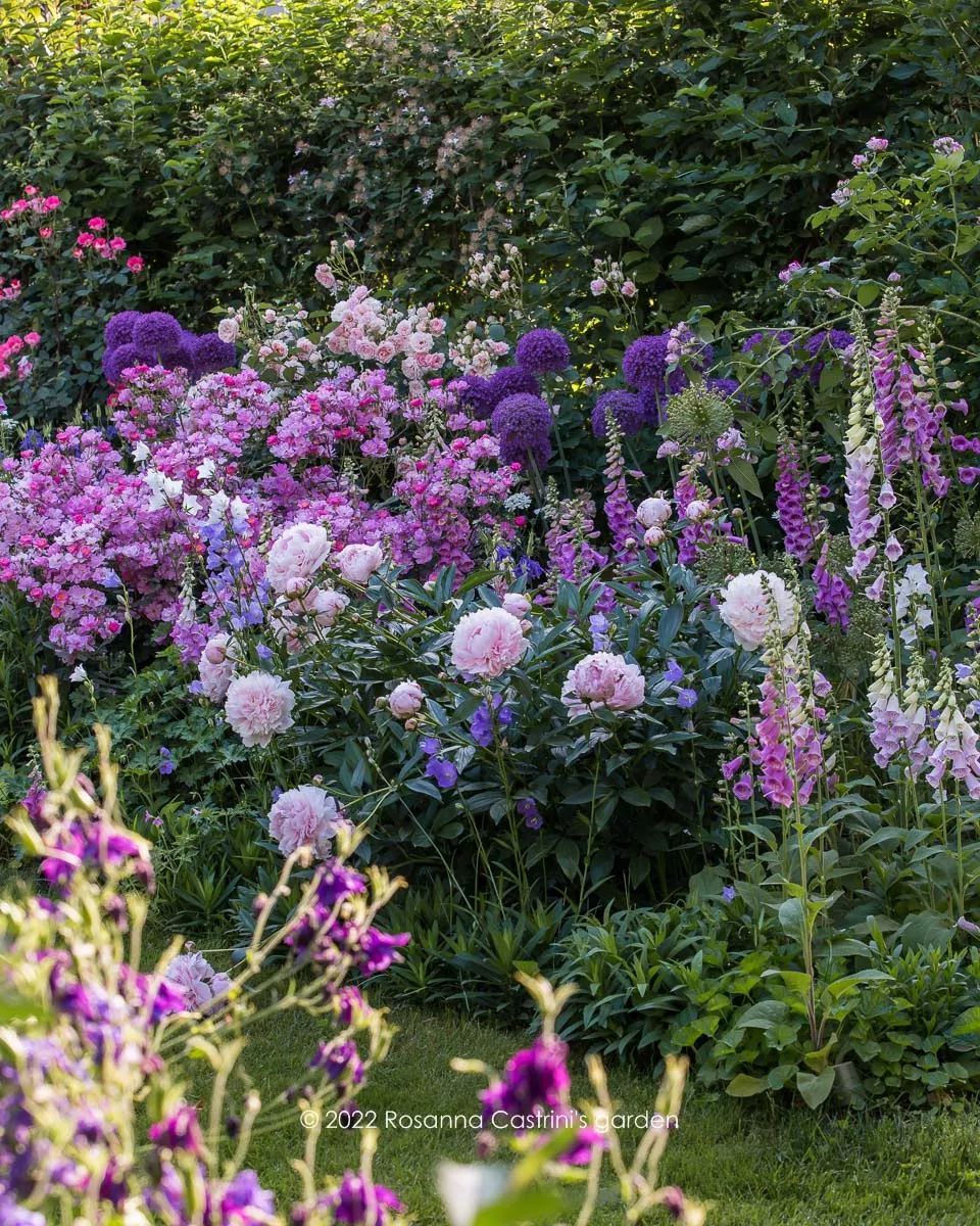 Blooming Gardens: A Guide to Beautiful Flower Arrangements for Your Outdoor Space