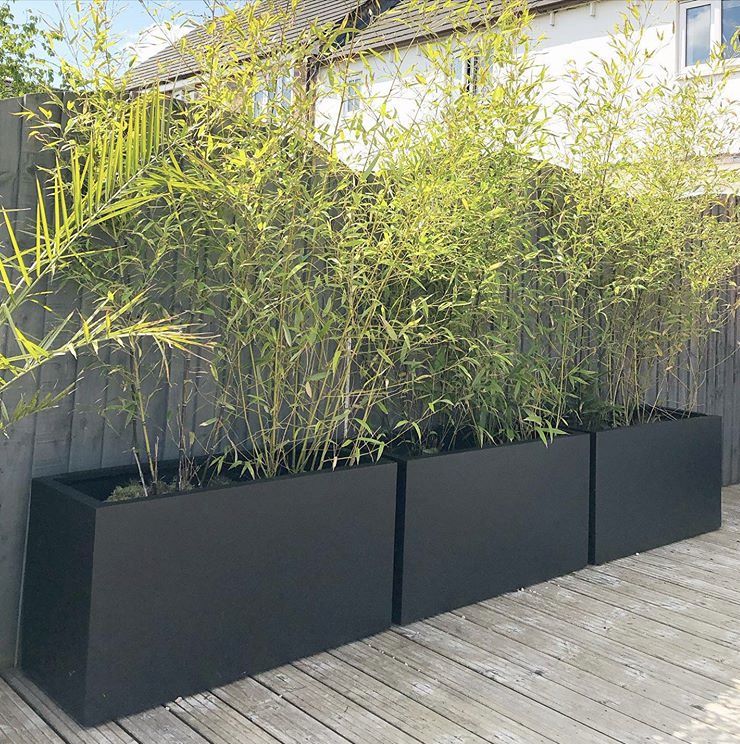 Bountiful Selection of Oversized Garden Planters to Elevate Your Outdoor Space