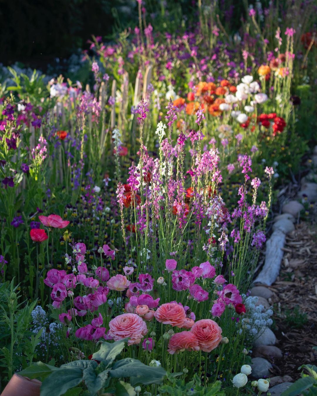 Breathtaking Flower Garden Designs: A Visual Delight for Nature Lovers