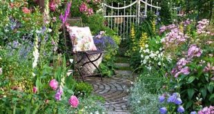 small cottage garden ideas