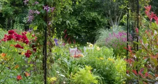 cottage garden ideas