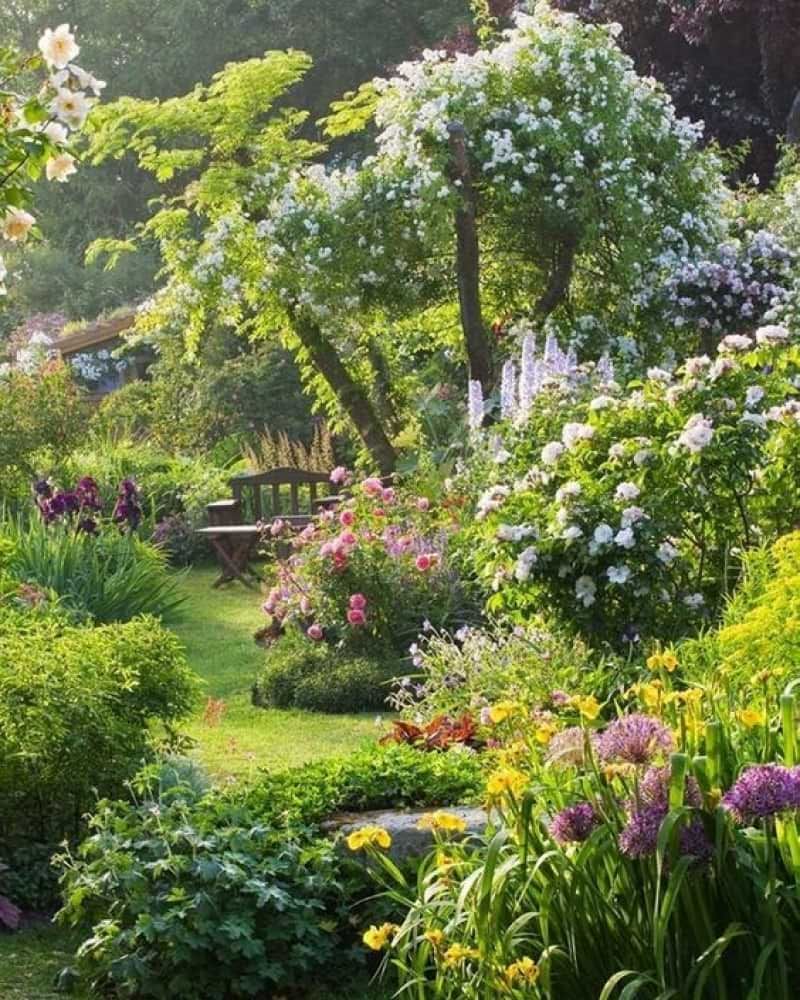 Charming Cottage Garden Inspiration for Your Outdoor Space