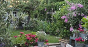 small cottage garden ideas