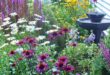 small cottage garden ideas