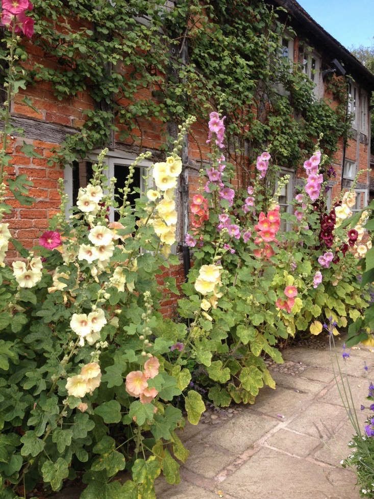 Charming Ideas for a Quaint Cottage Garden