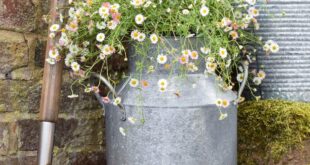 rustic garden planters