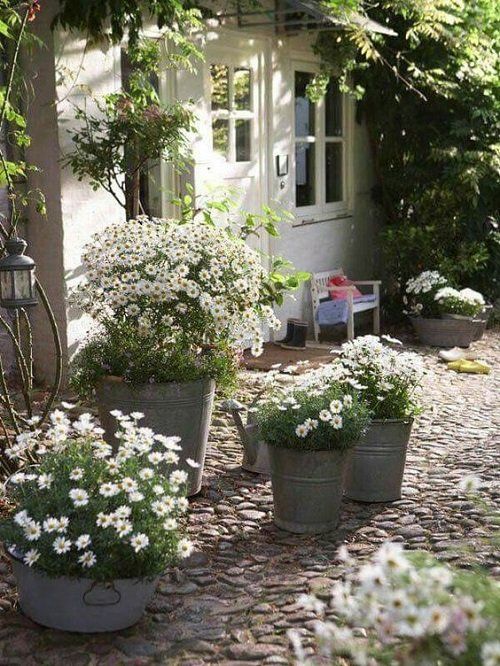 Charming Ways to Enhance Your Garden with Rustic Decor