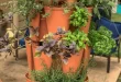 small herb garden planter